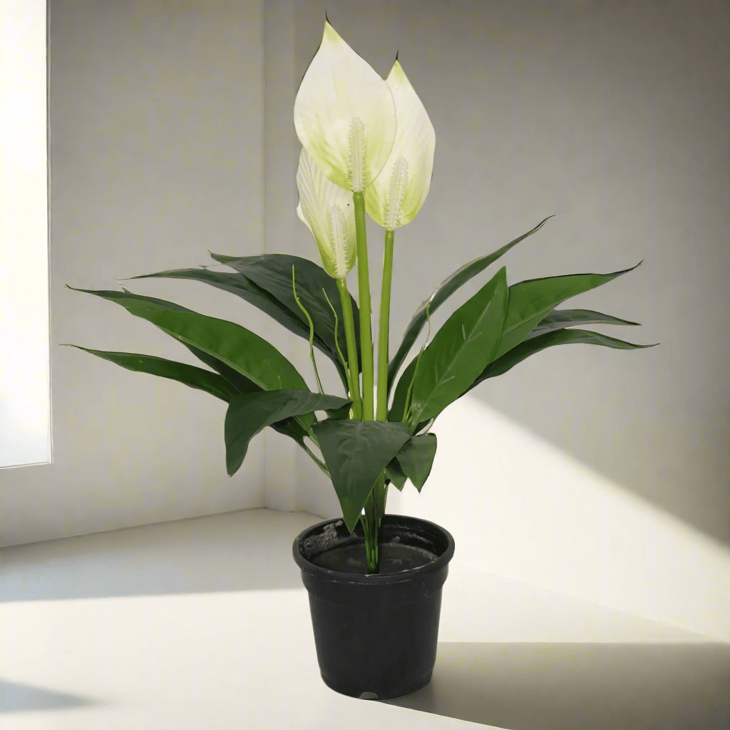 Artificial Plant (1.5 Feet) - HomeDukaan